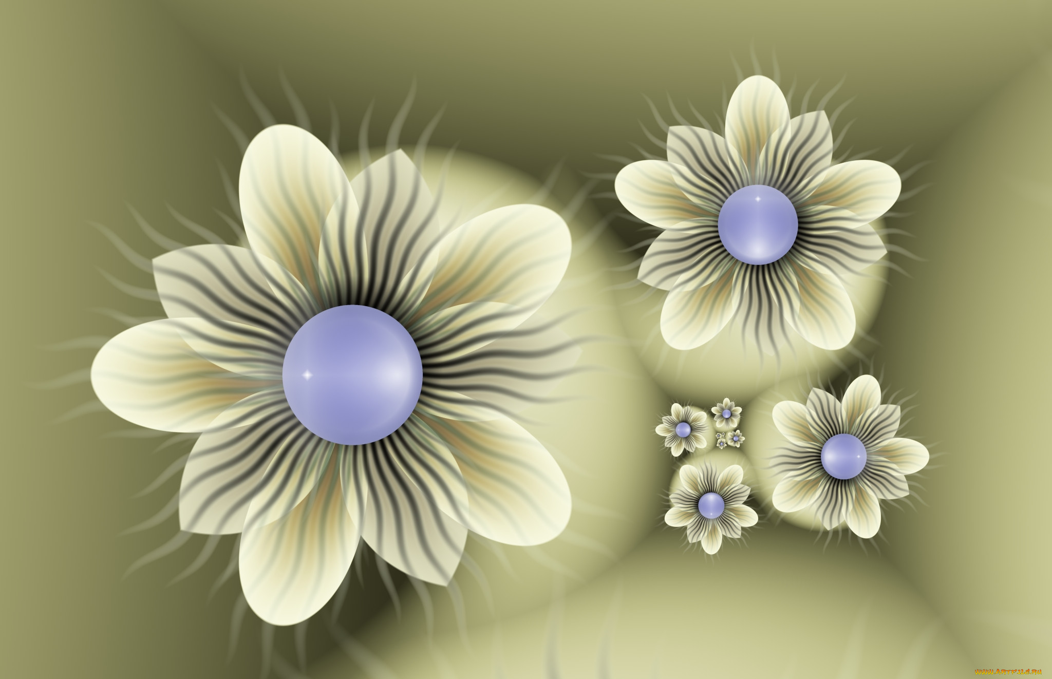 3, , flowers, , , , , 